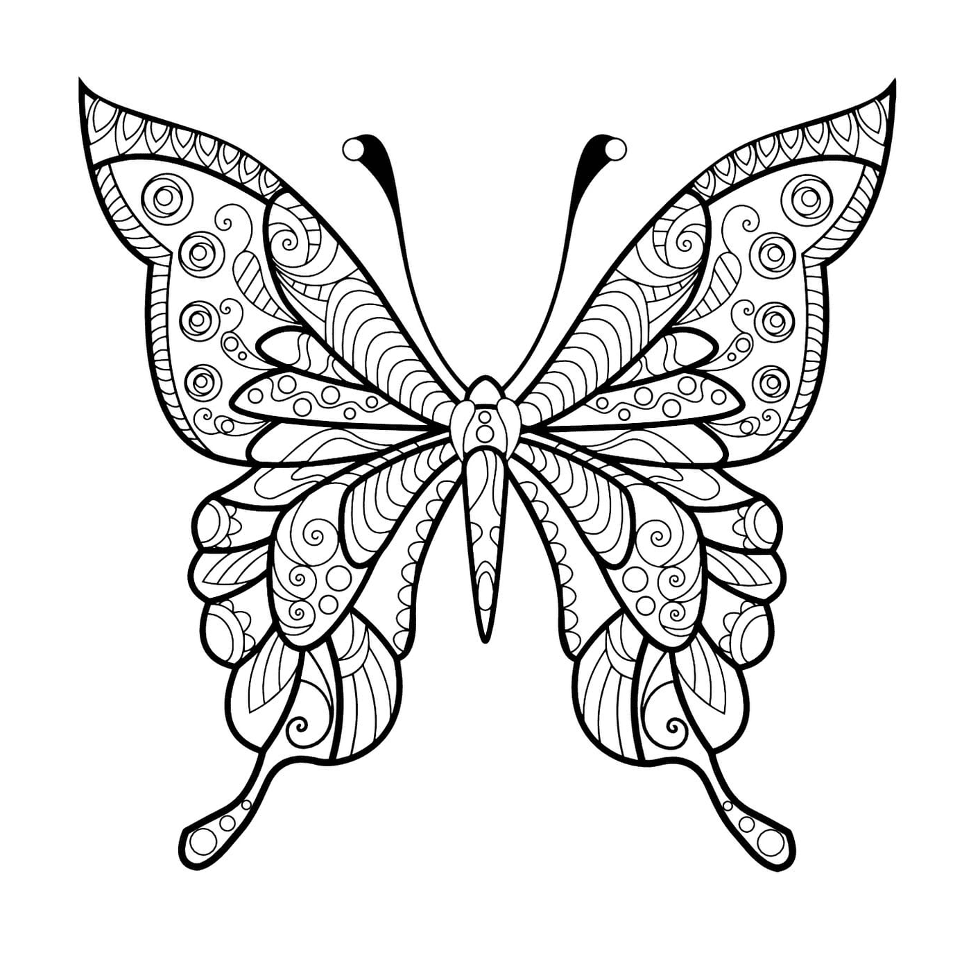 coloriage papillon jolis motifs 4