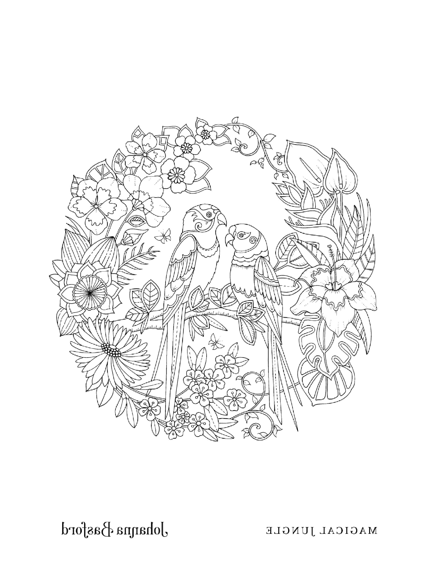 coloriage Adulte Love Birds From Magical Jungle