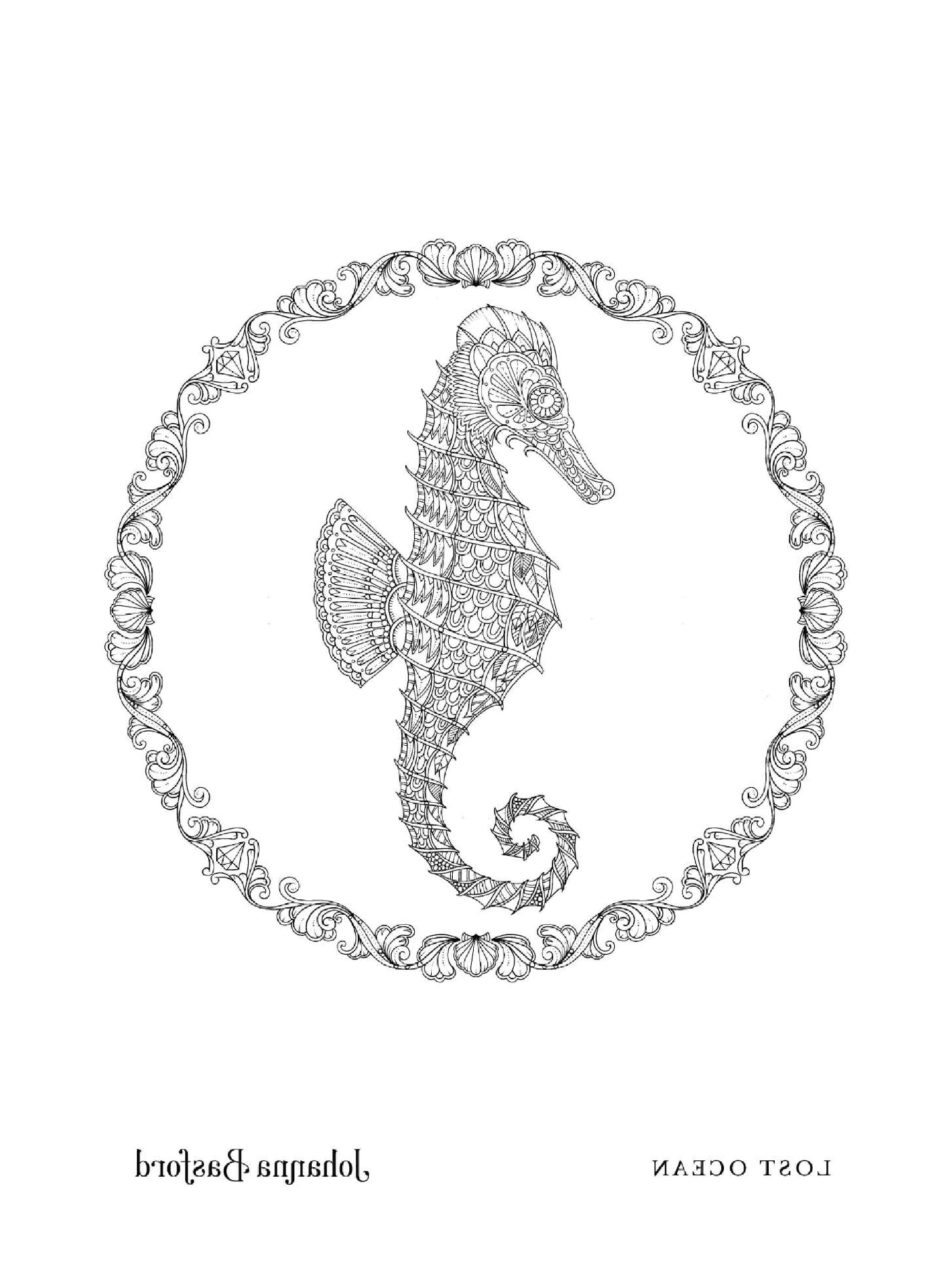 coloriage Adulte Seahorse From Lost Ocean