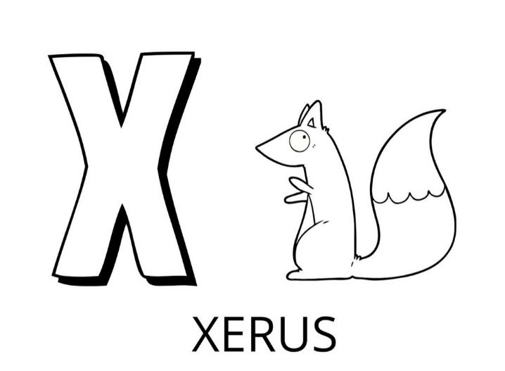 coloriage lettre x comme xerus