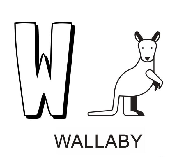 coloriage lettre w comme wallaby