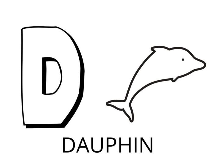 coloriage lettre d comme dauphin