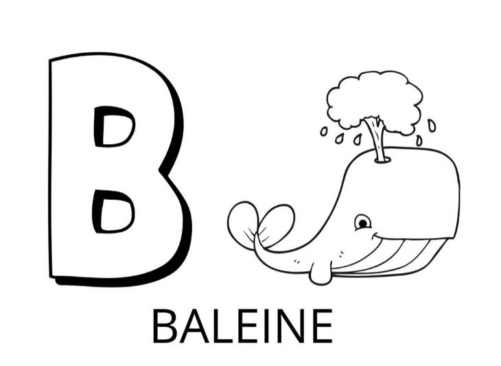coloriage lettre b comme baleine