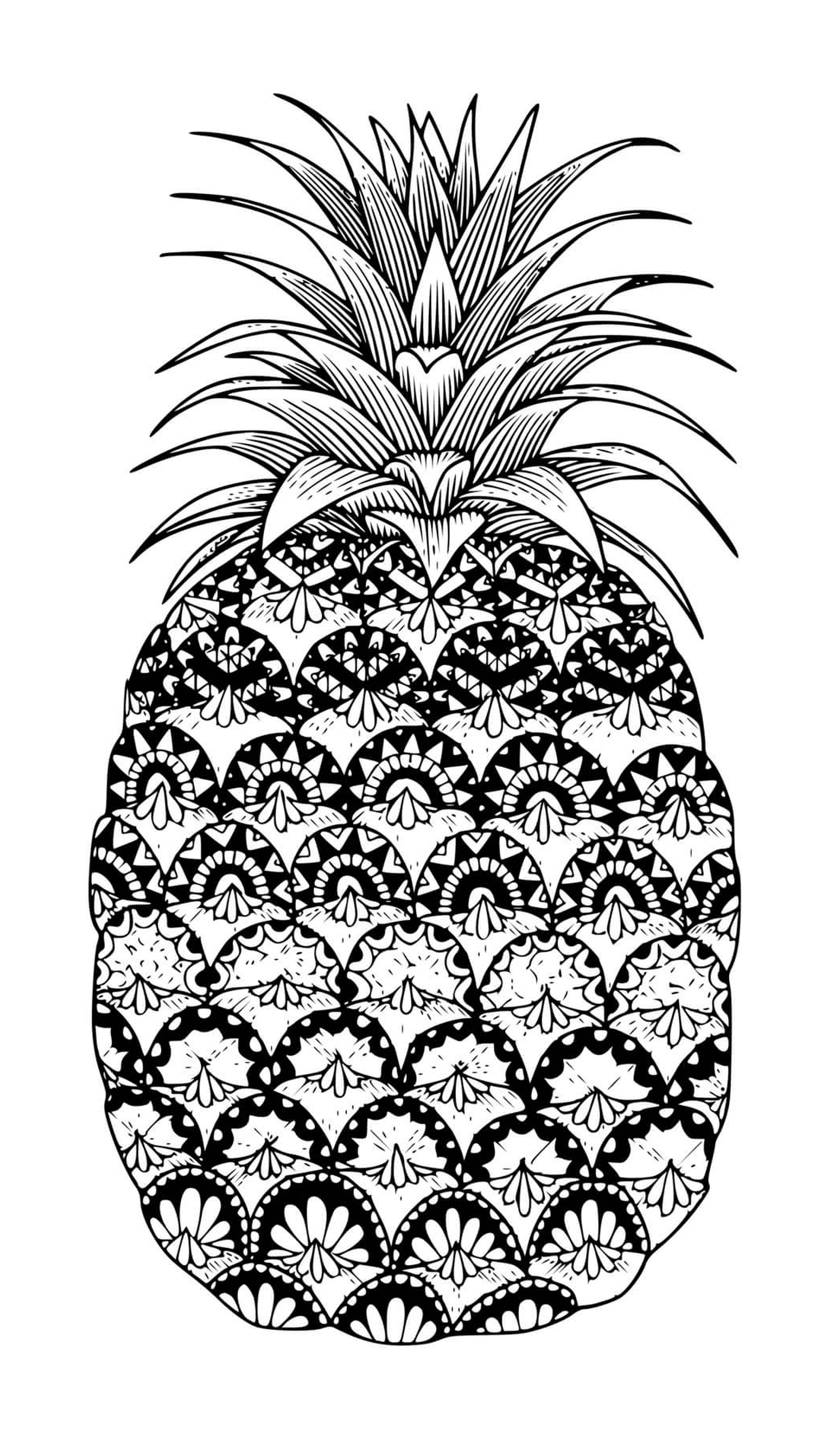 fuit ananas mandala zentangle