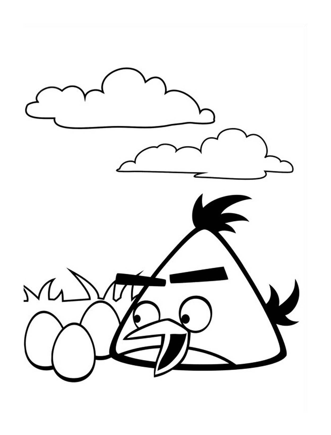 coloriage angry birds trouve trois petits oeufs