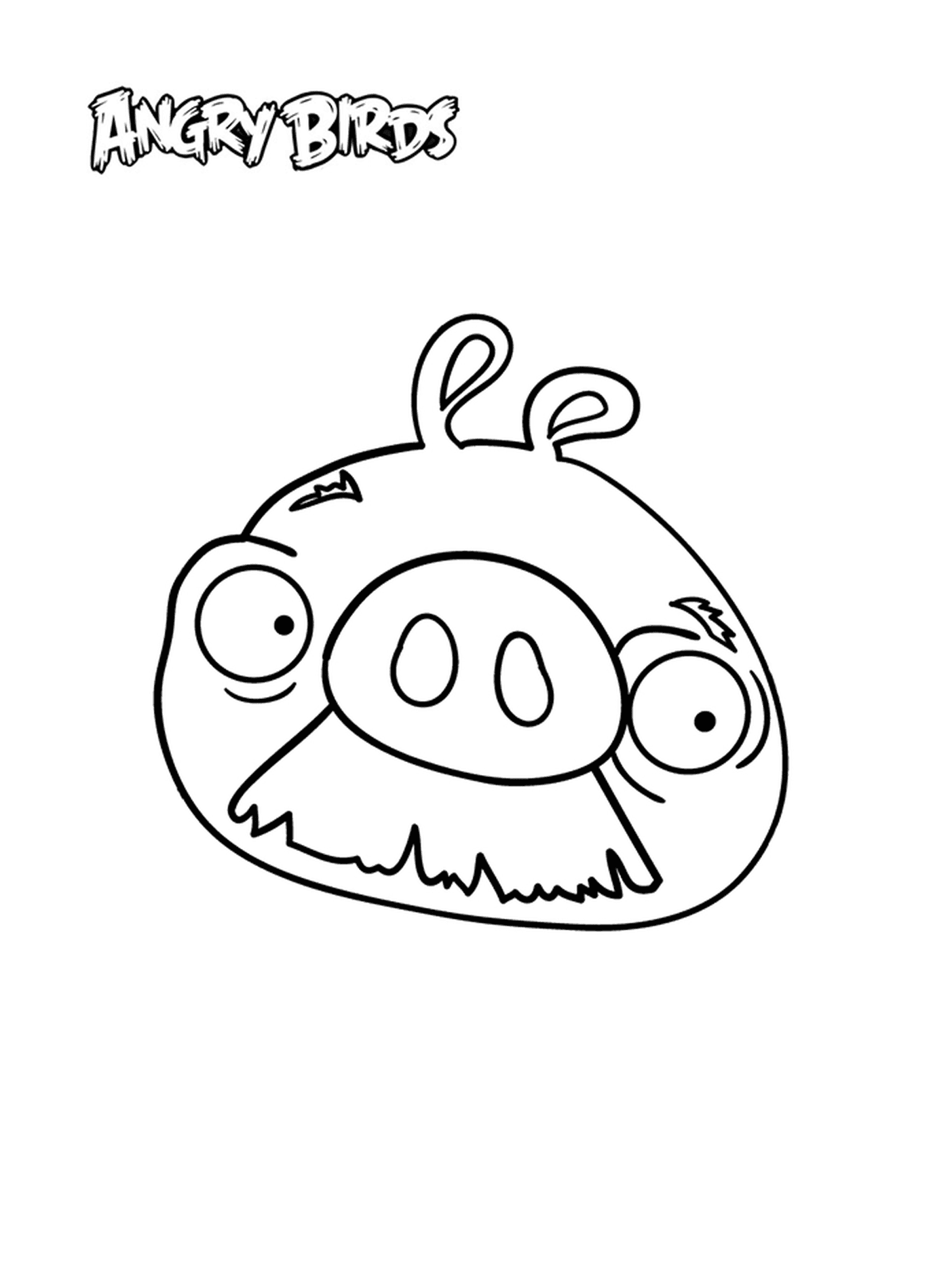 coloriage angry birds grand pere cochon