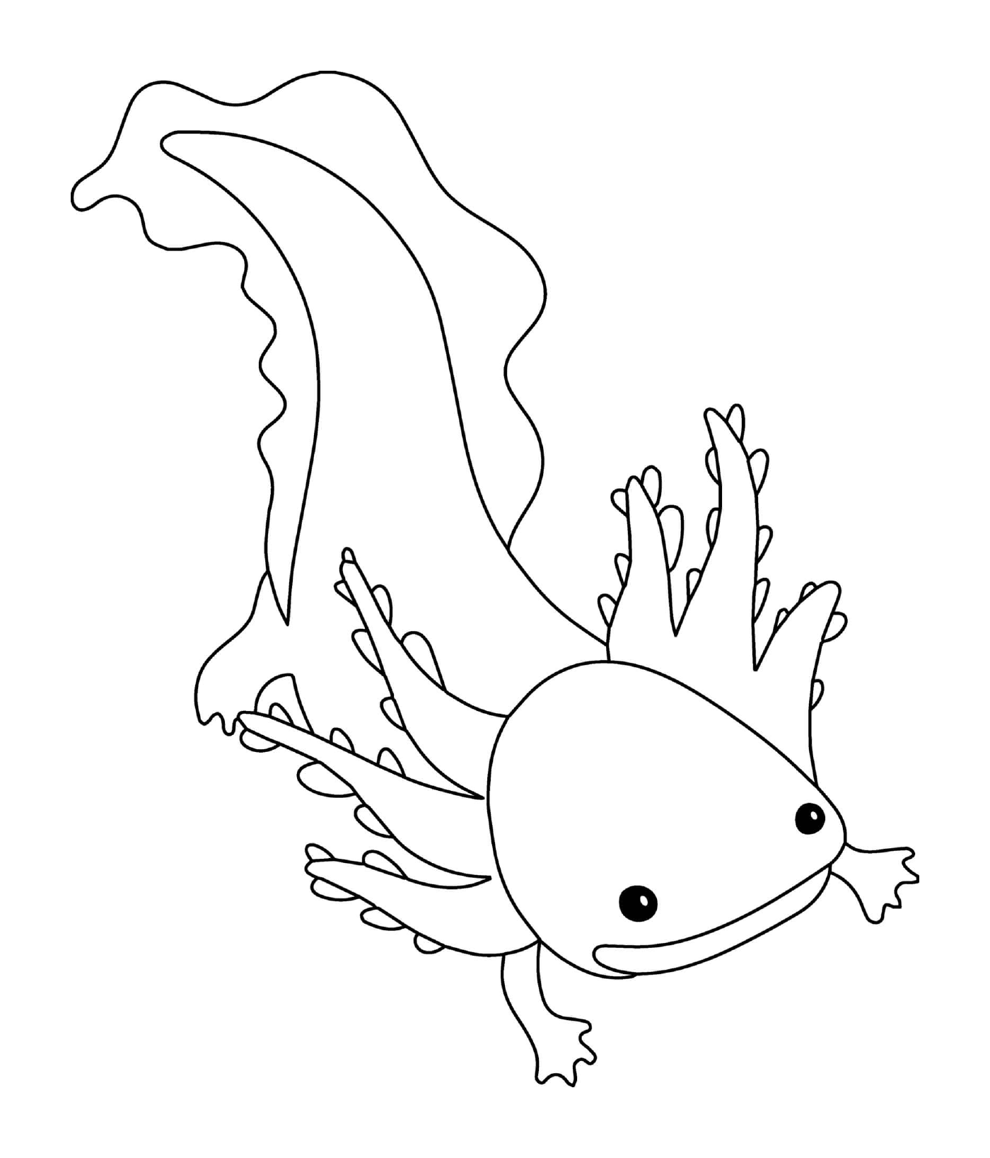 coloriage axolotl animal marin qui passe toute leur vie sans jamais se metamorphoser en adulte