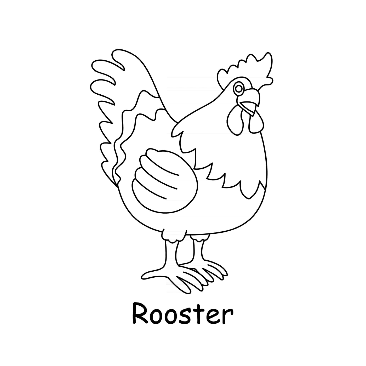 coloriage coq poule male rooster
