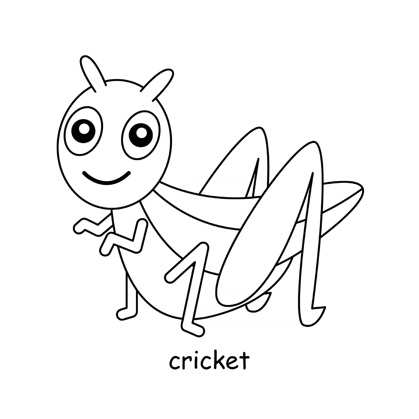 criquet insecte