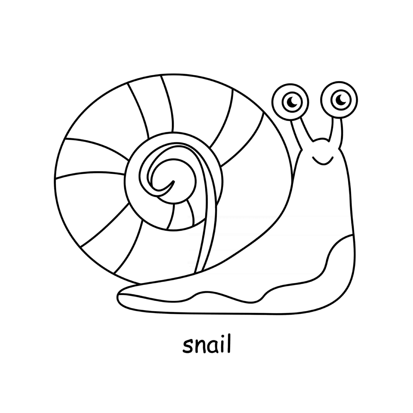 escargot mignon