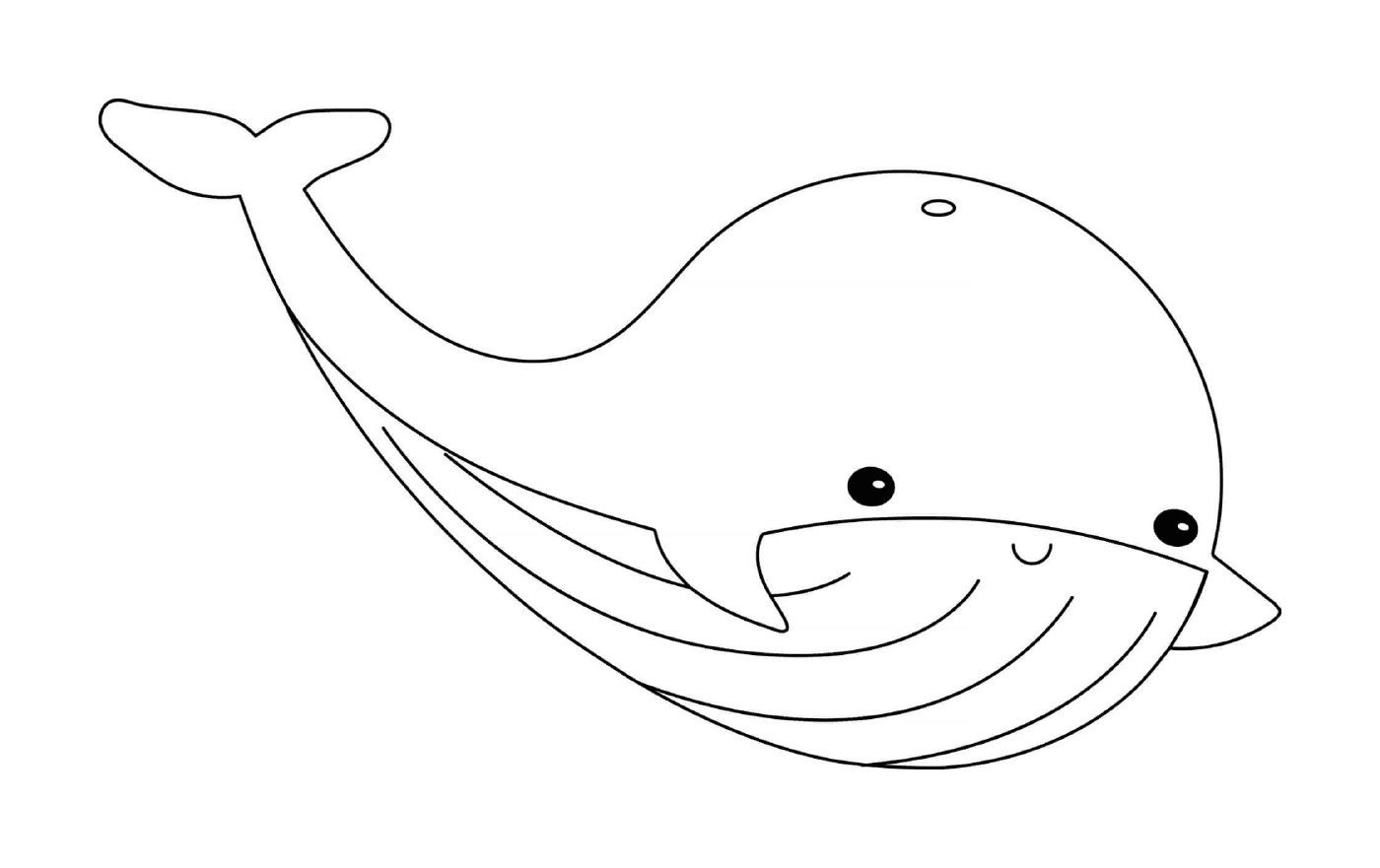 baleine animal marin mignon