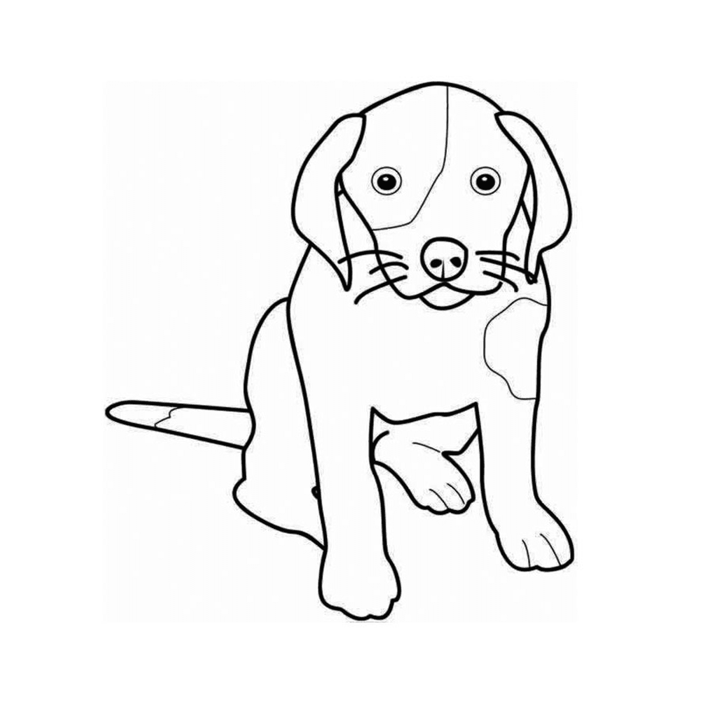 coloriage animaux chien