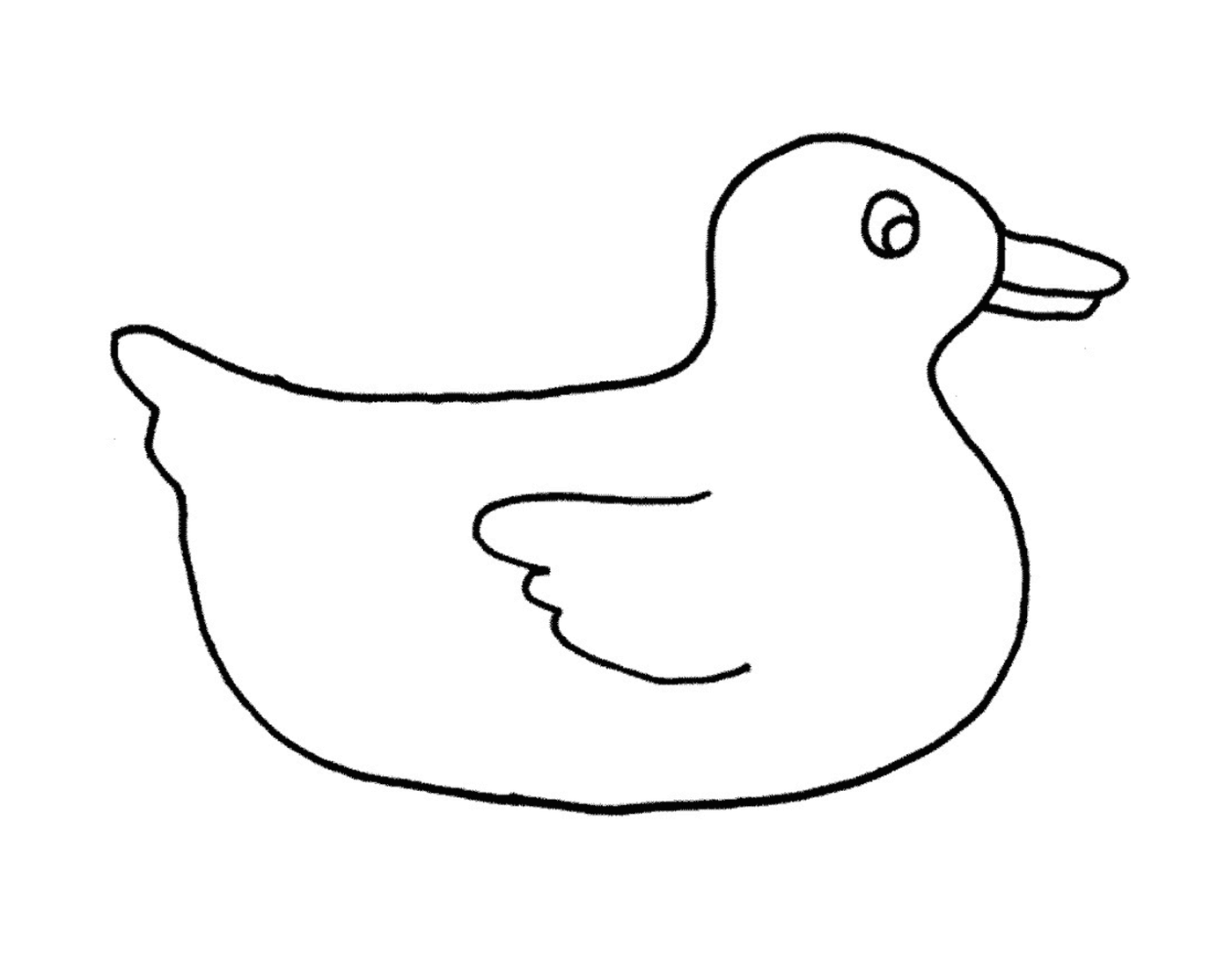 coloriage dessin animaux canard