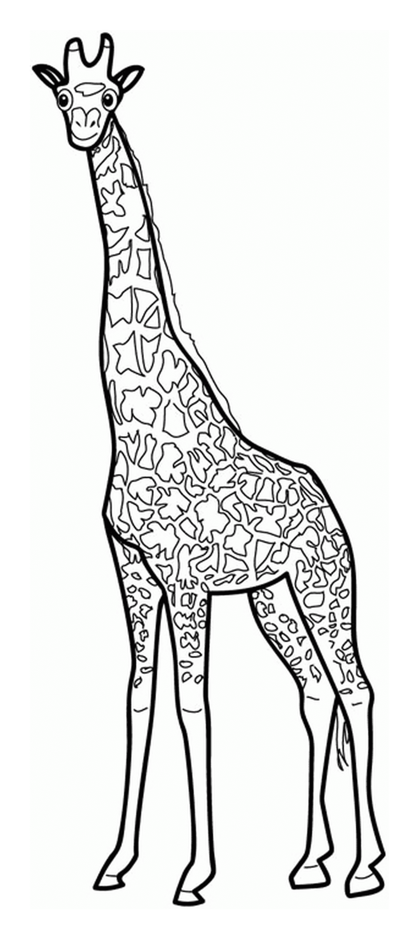 coloriage dessin animaux girafe