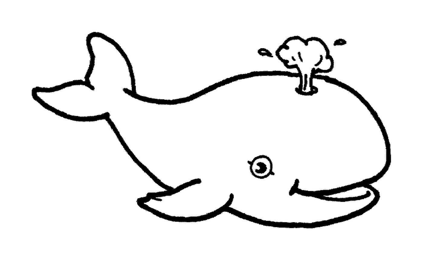 coloriage dessin animaux baleine
