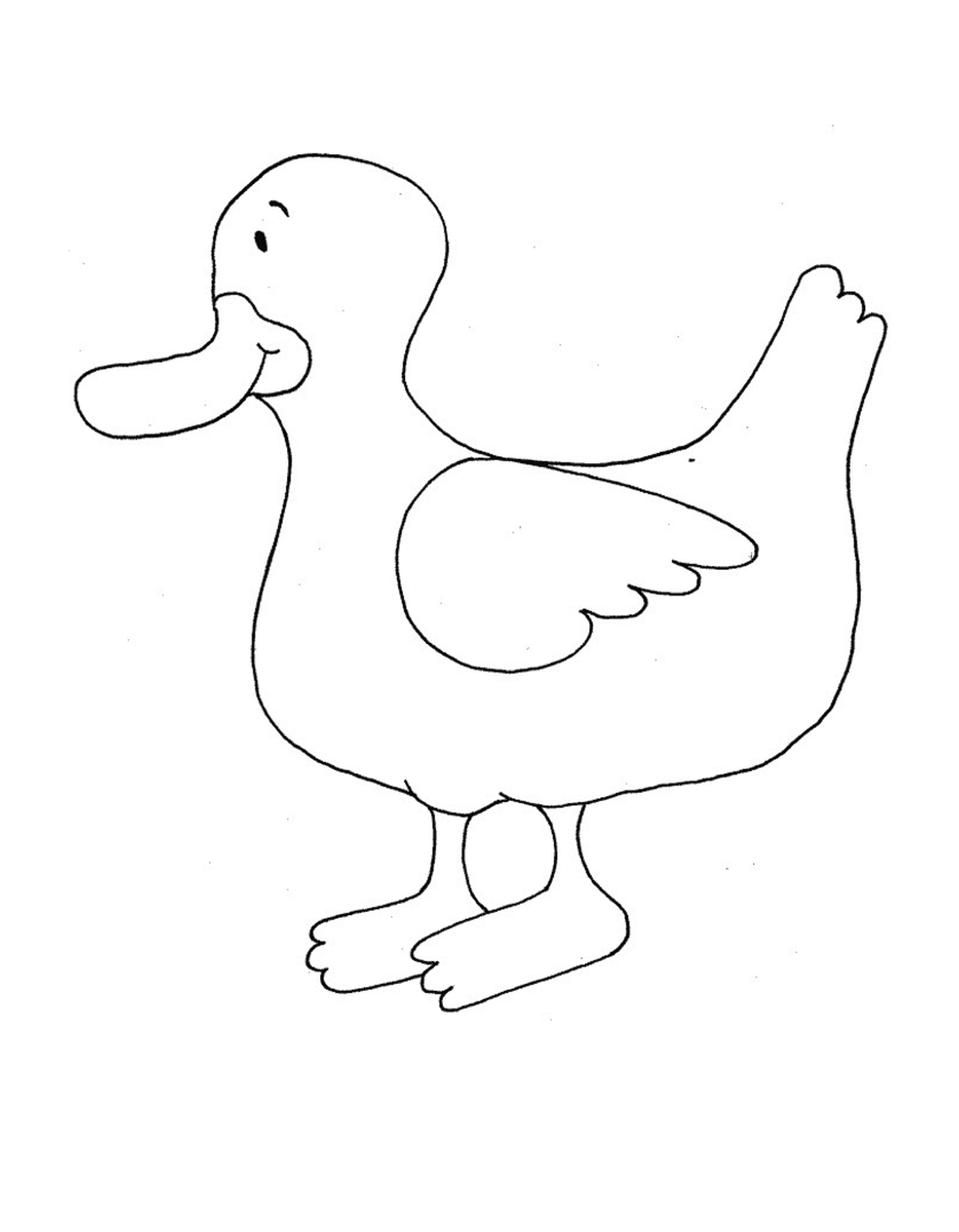 coloriage dessin animaux canard de profil