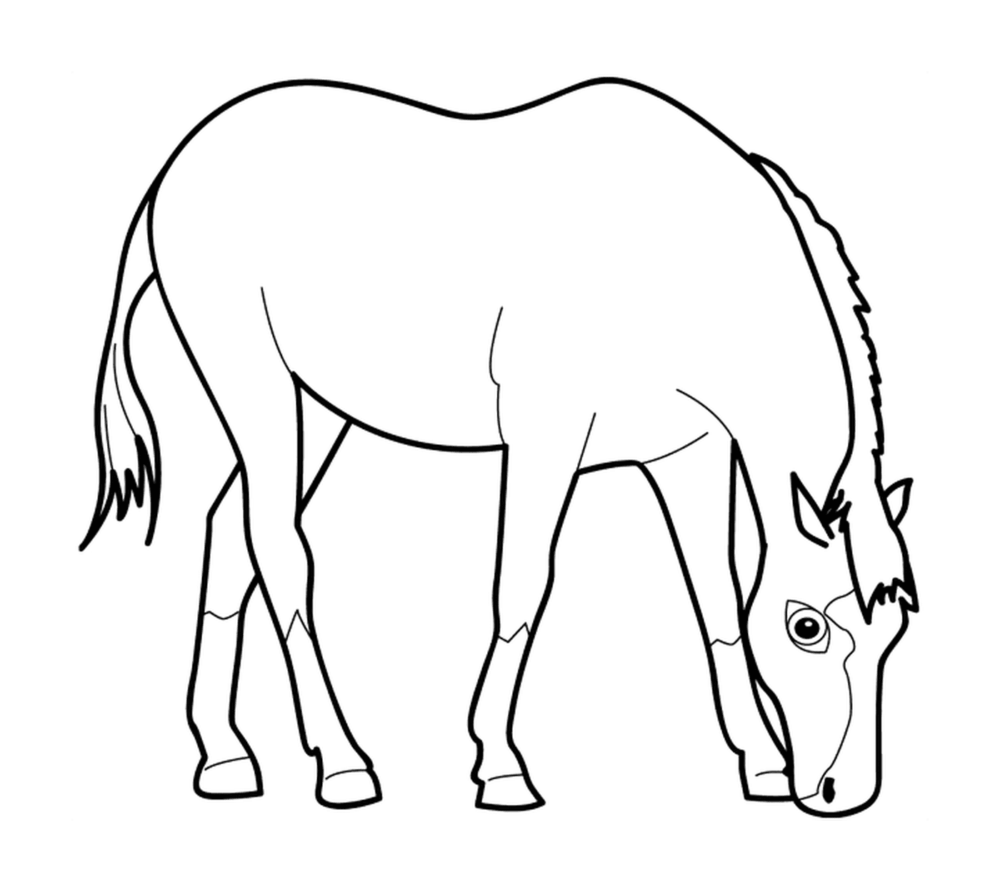 coloriage dessin animaux cheval