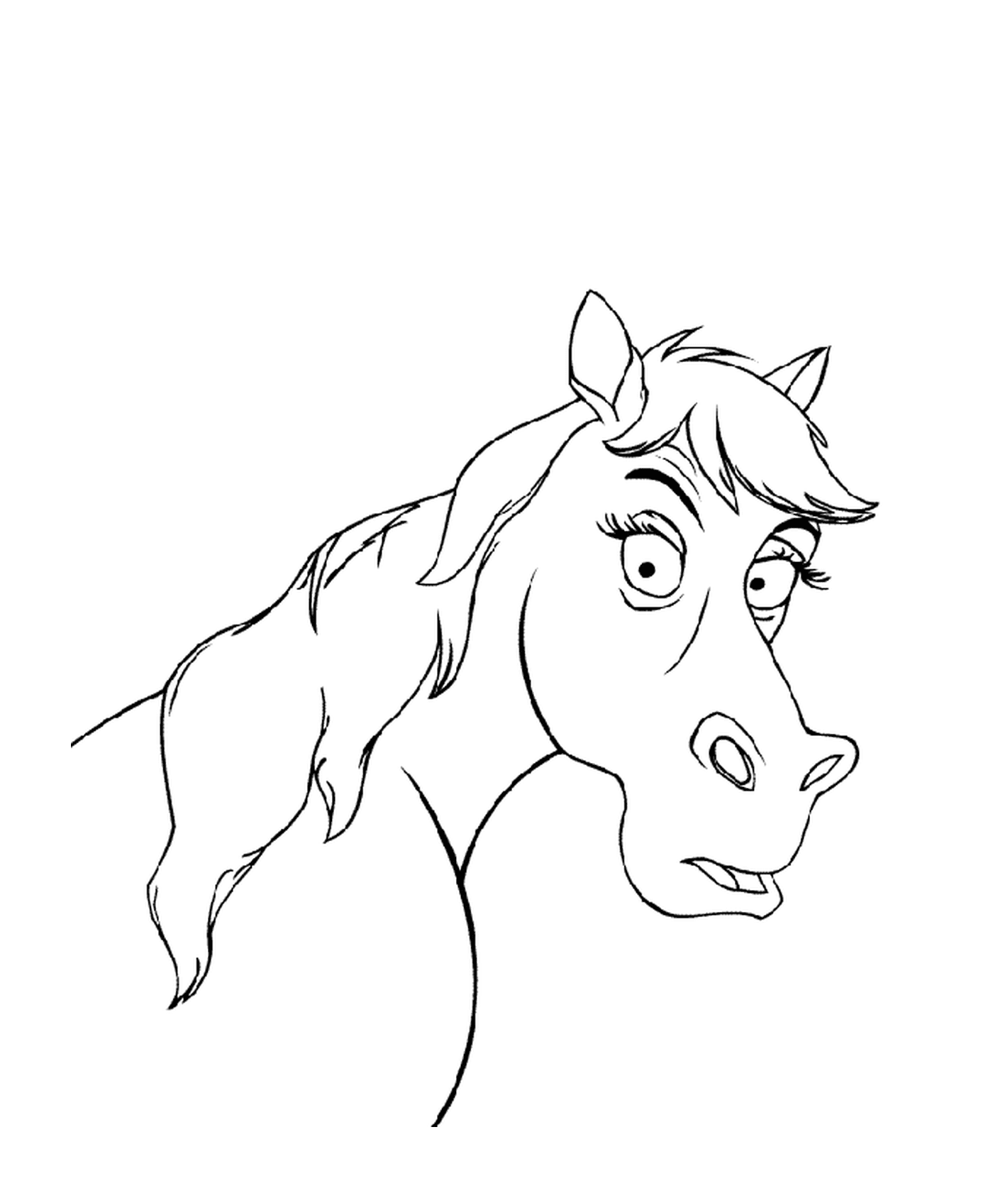 coloriage dessin animaux tete de cheval