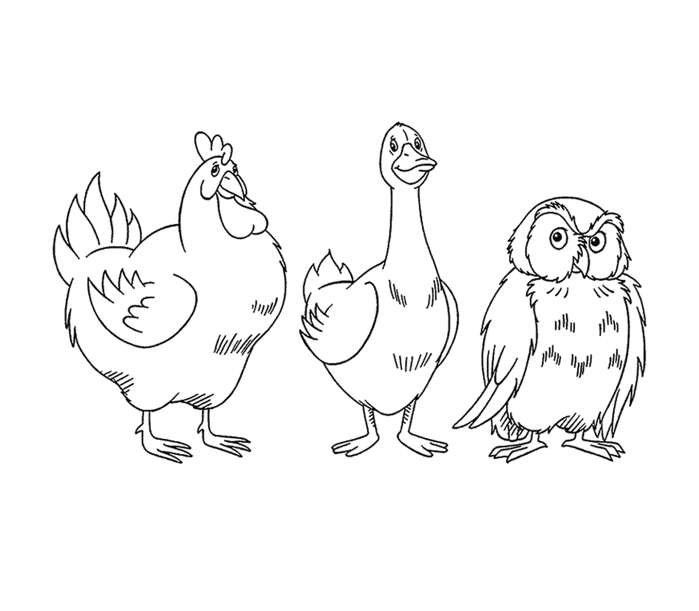 coloriage dessin animaux hibou et oie et poule