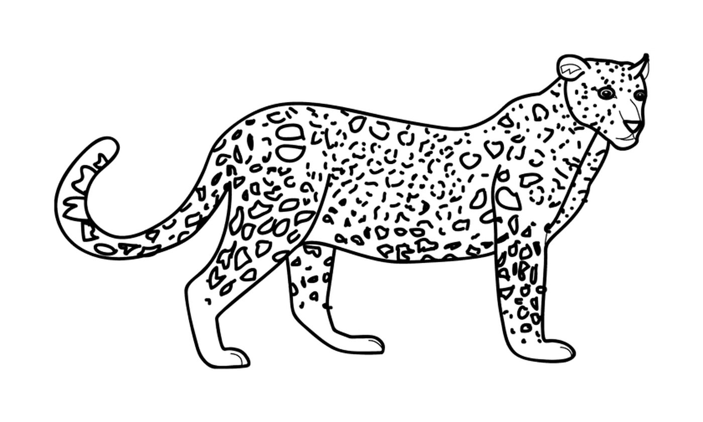 coloriage dessin animaux leopard