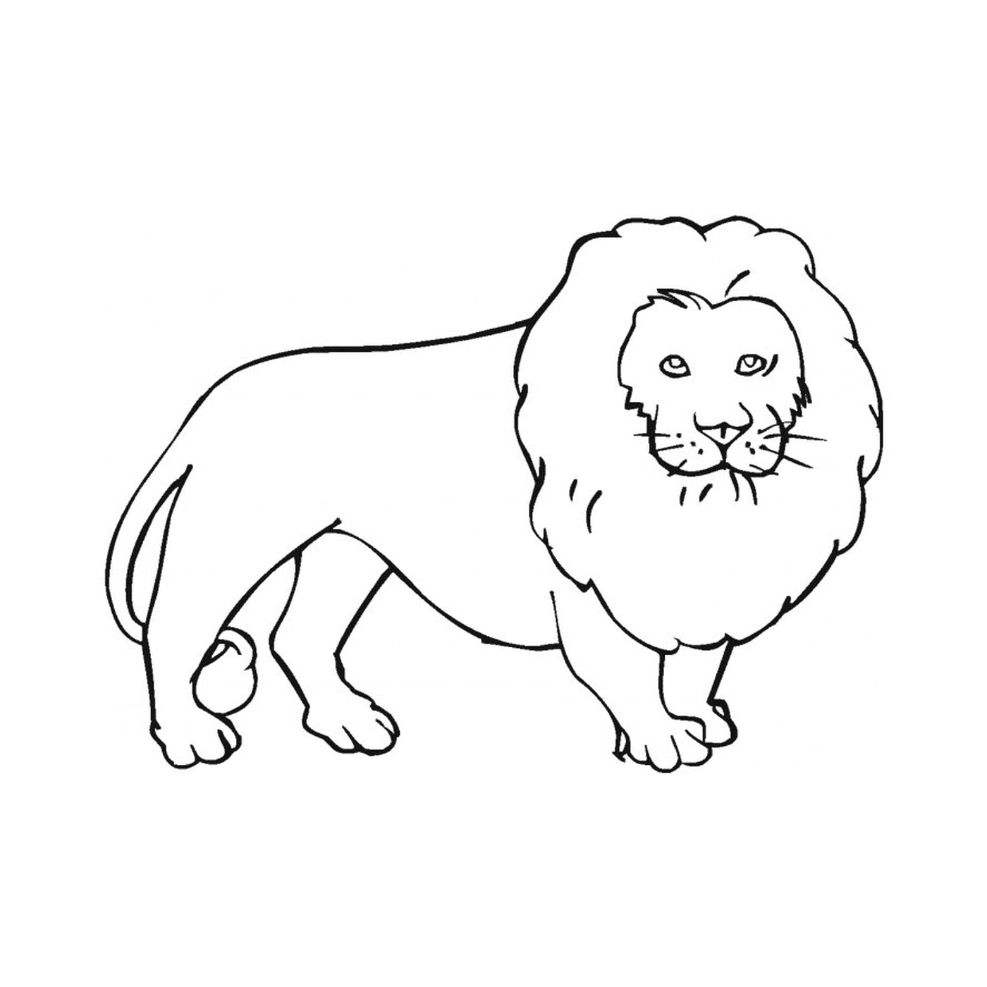 coloriage lion majestueux