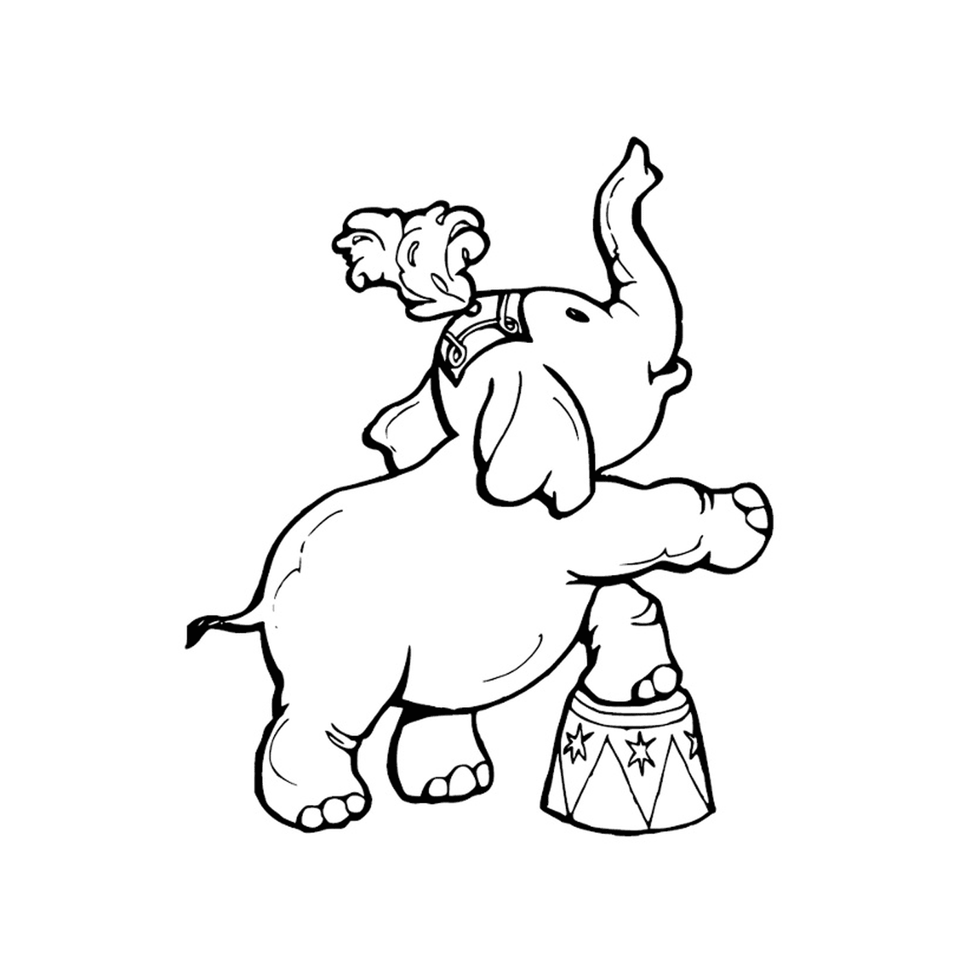 coloriage cirque elephant