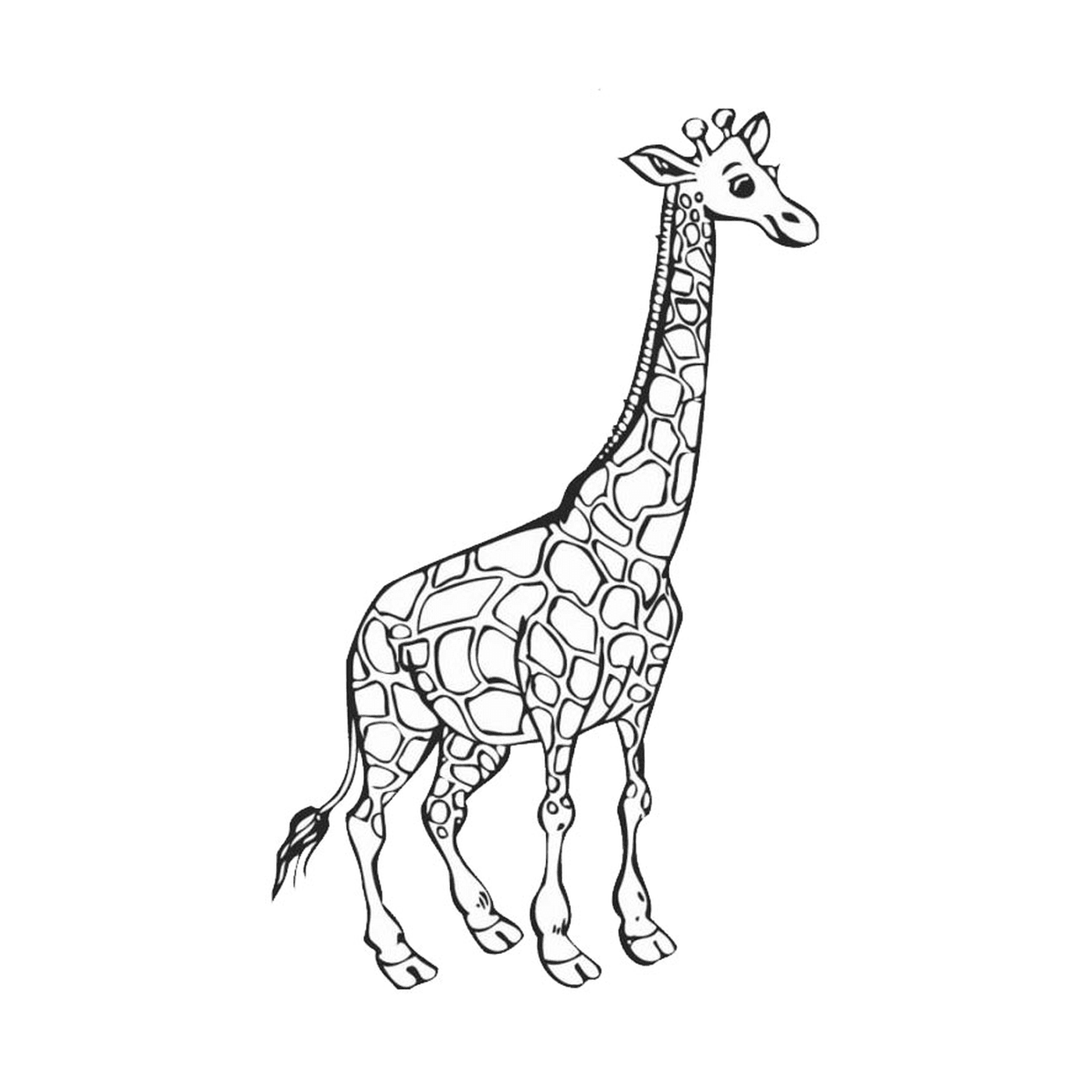 coloriage girafe madagascar