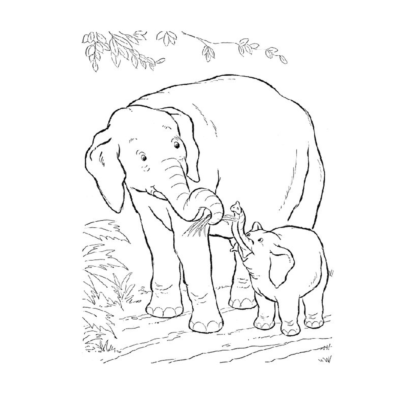 coloriage elephant savane
