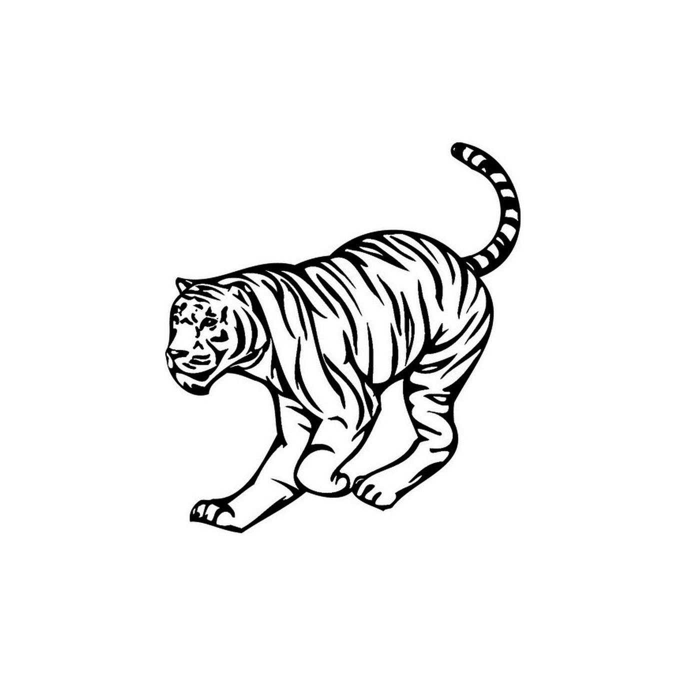 coloriage tigre de siberie