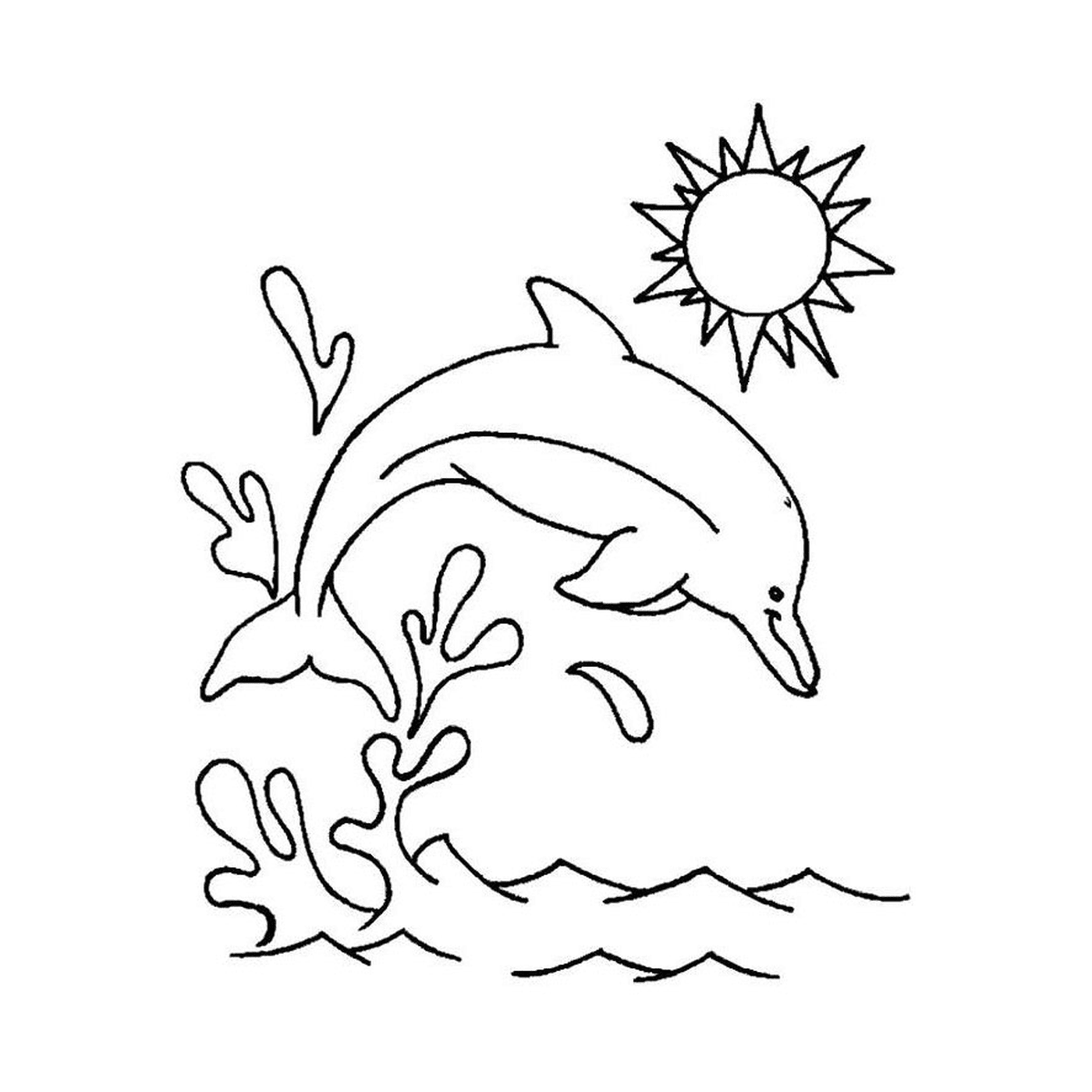 coloriage dauphin
