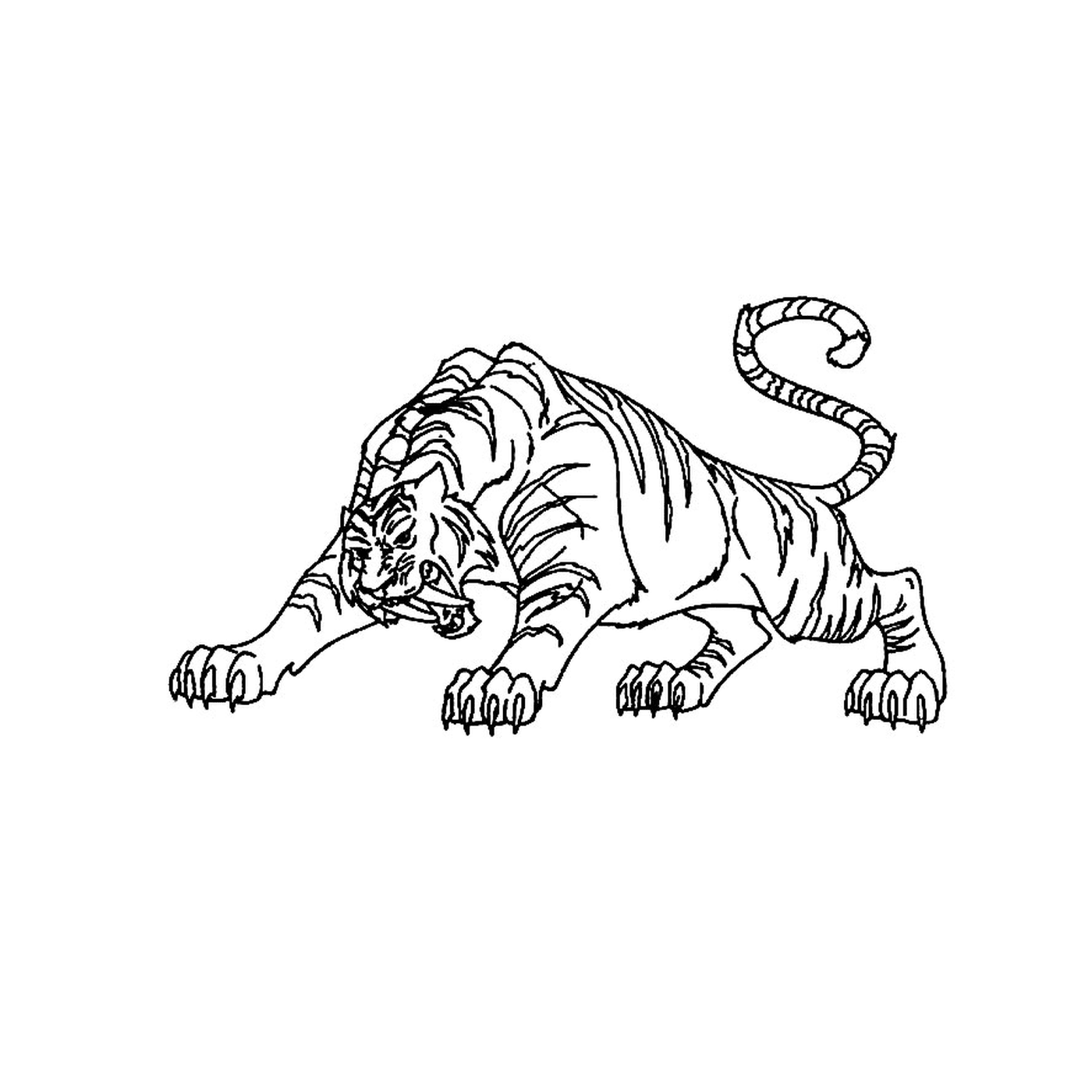 coloriage tigre a dent de sabre