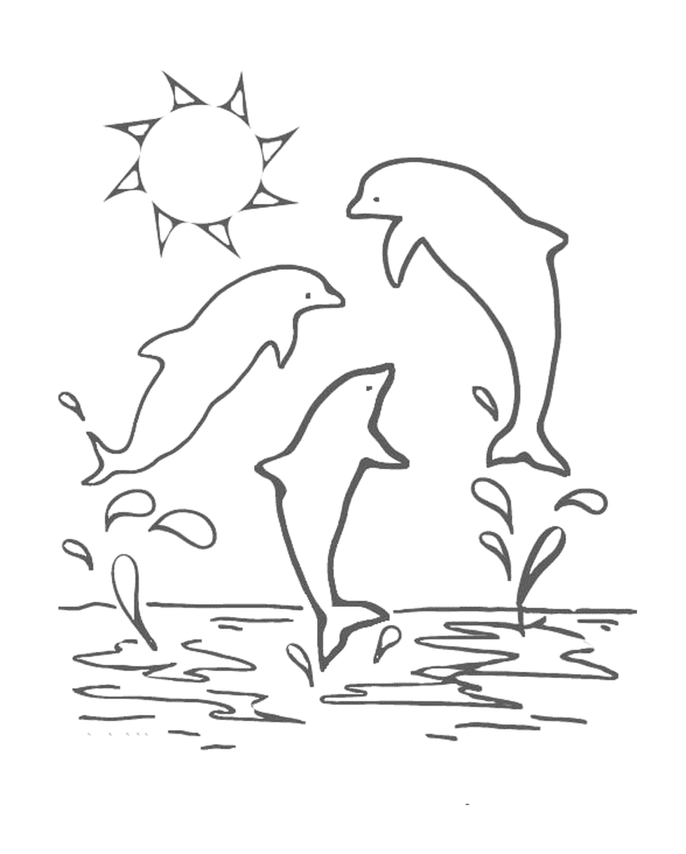 coloriage trois dauphins et un soleil
