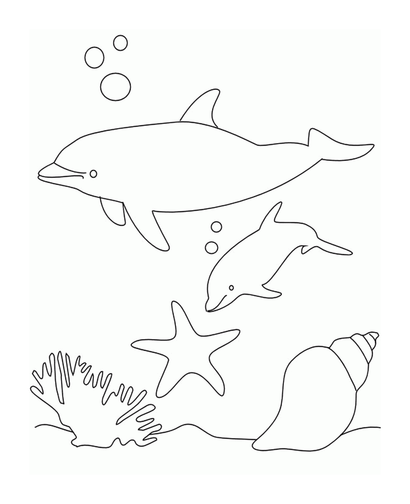 coloriage dauphins et coquillages