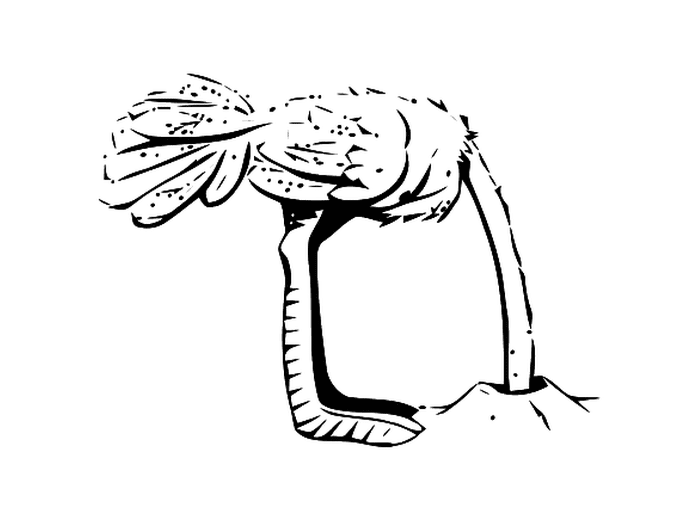 coloriage une autruche qui se cache avec sa tete dans un trou