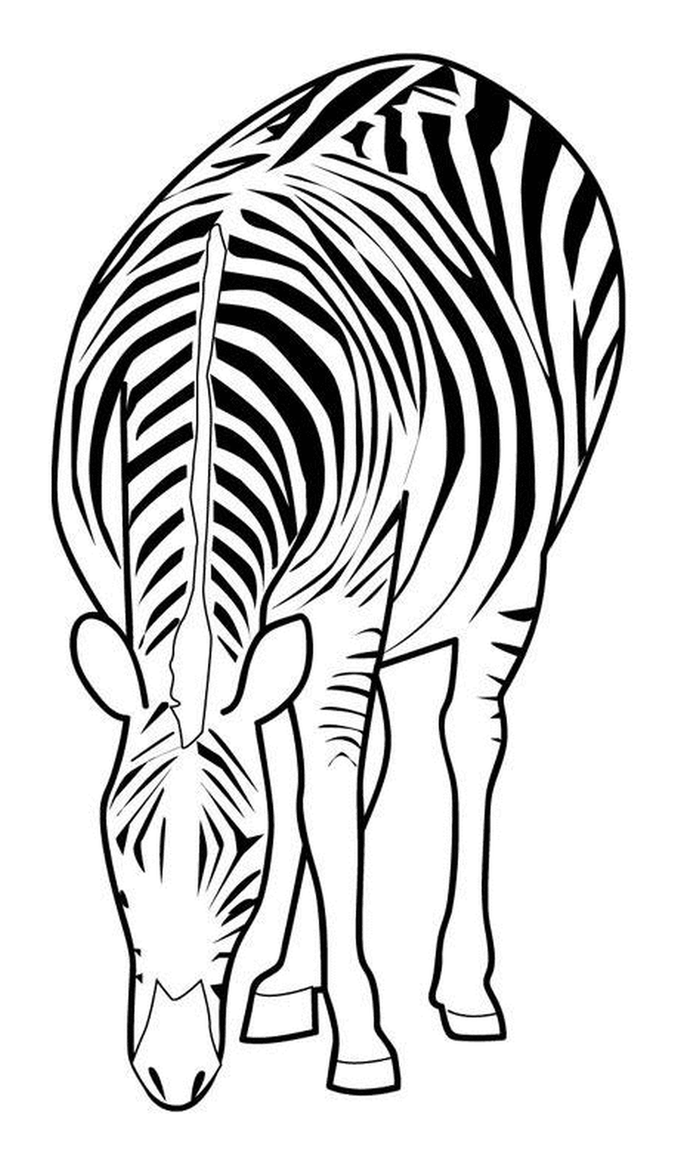 coloriage zebre qui mange