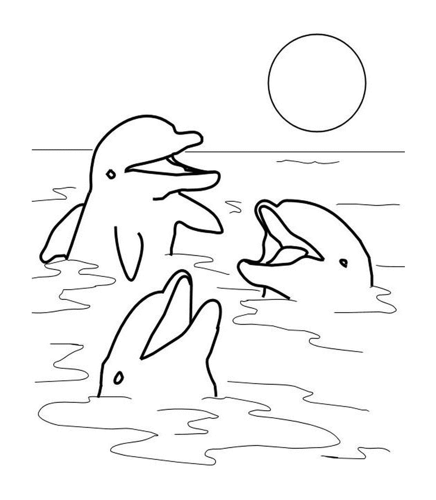 coloriage trois dauphins au soleil