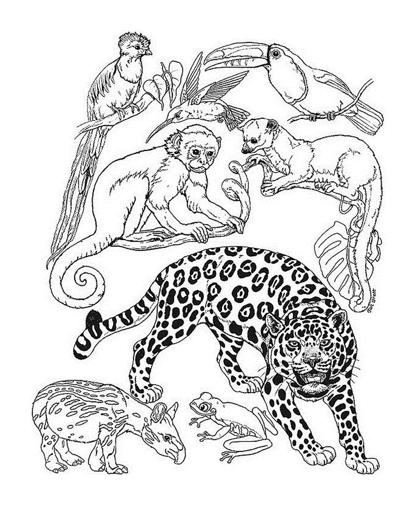 coloriage un guepard avec les animaux de la jungle