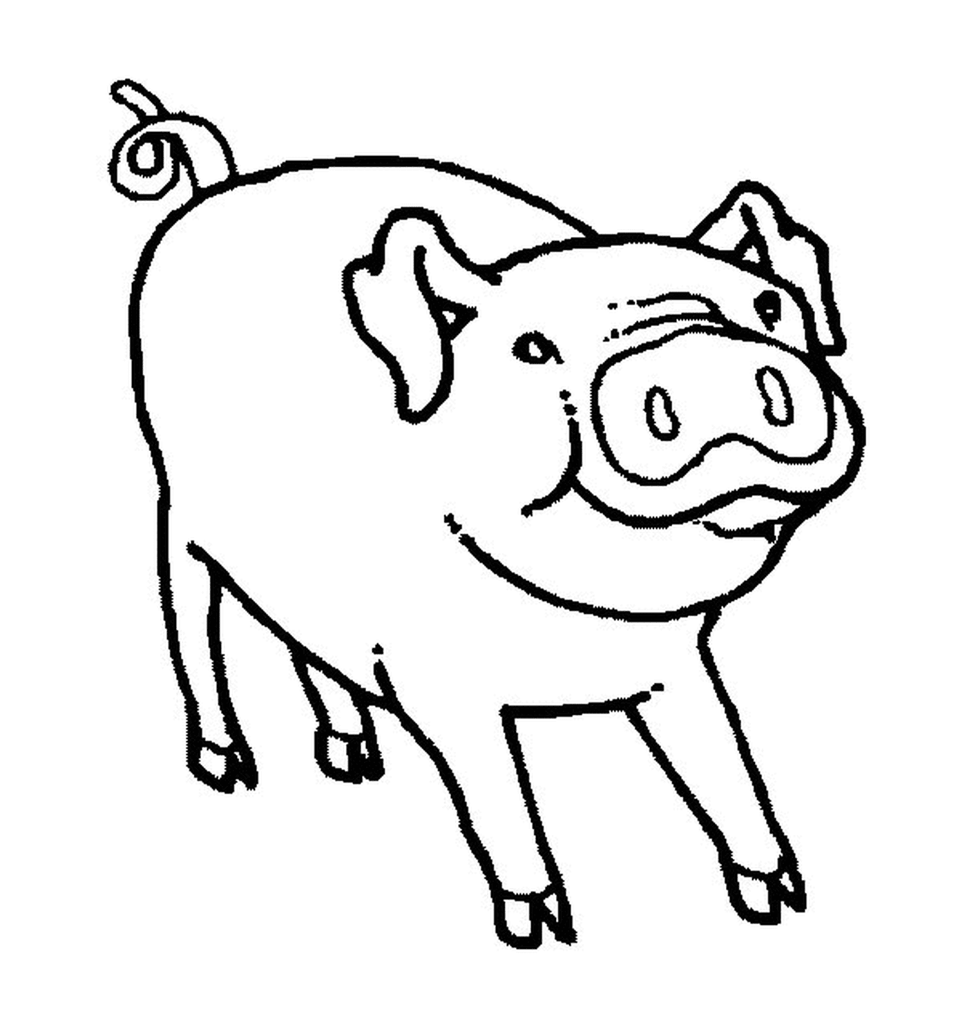 coloriage dessin d un porc