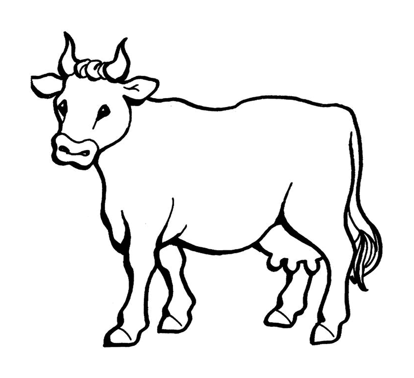 coloriage un belle vache