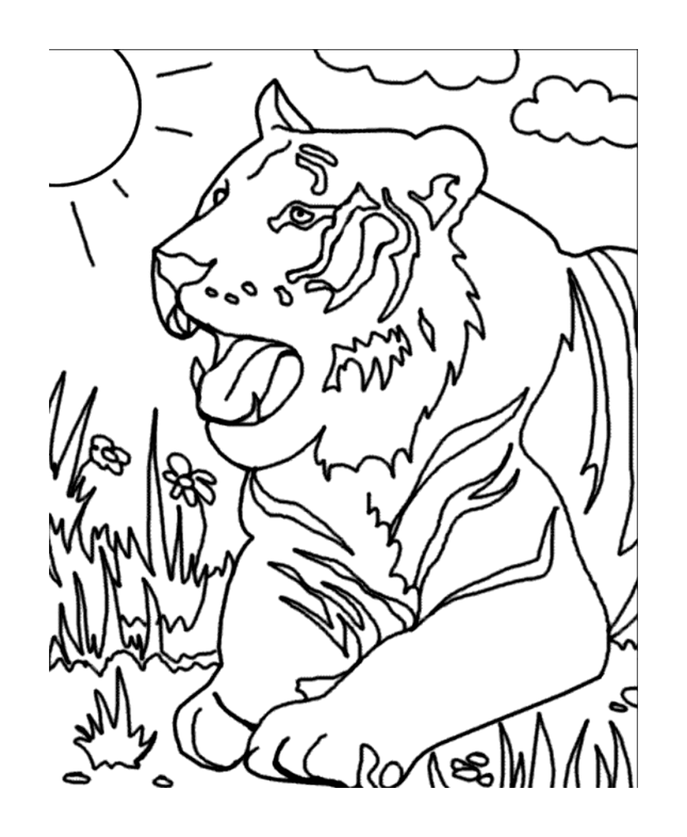 coloriage tigre dans l herbe