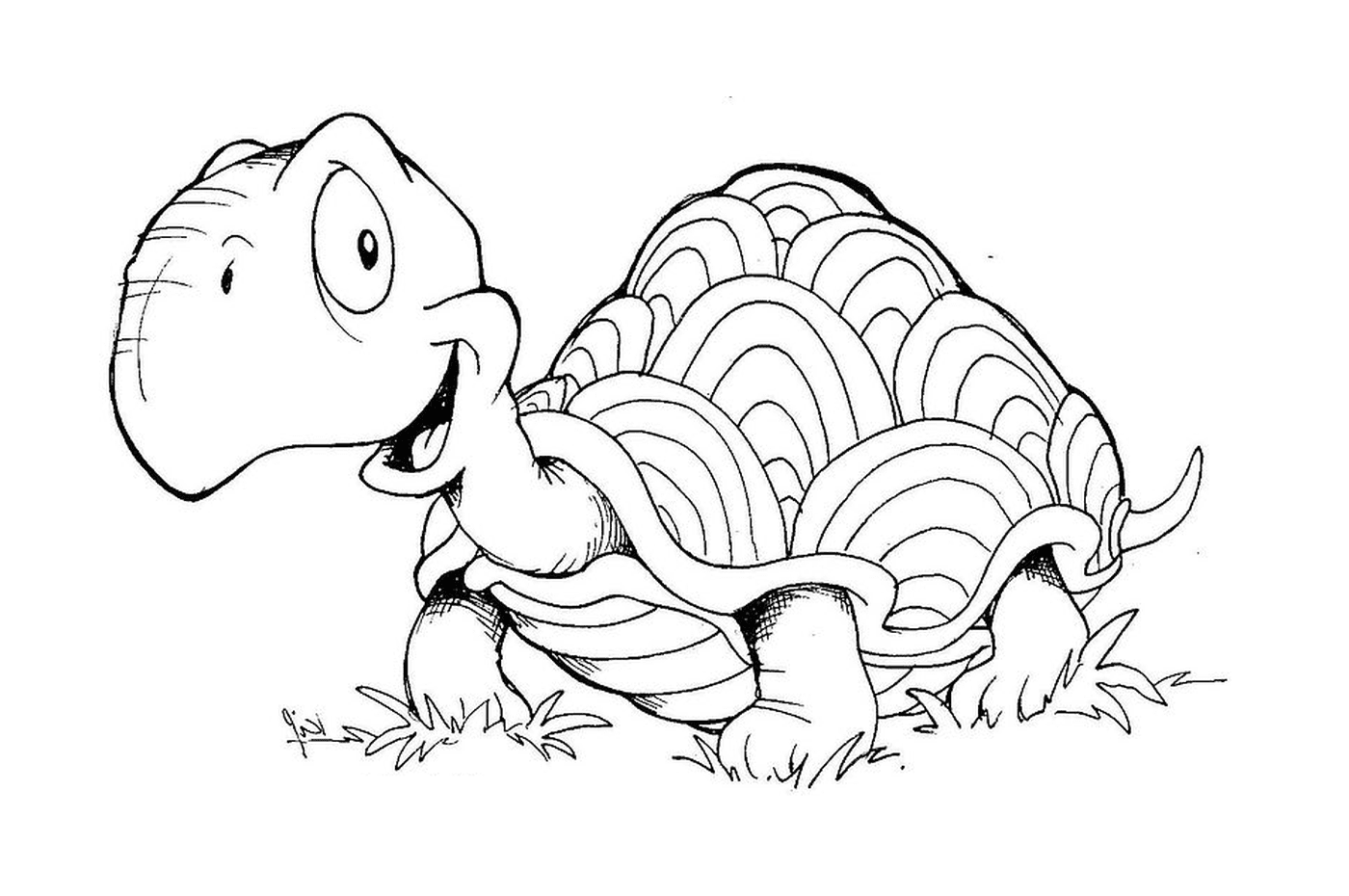 coloriage tortue dans l herbe
