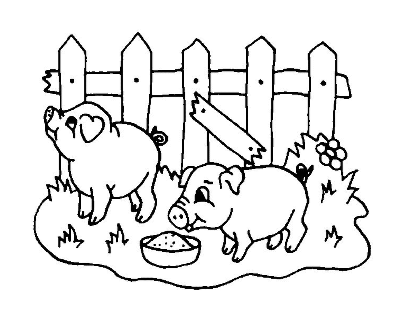 coloriage 2 cochons dans un enclos