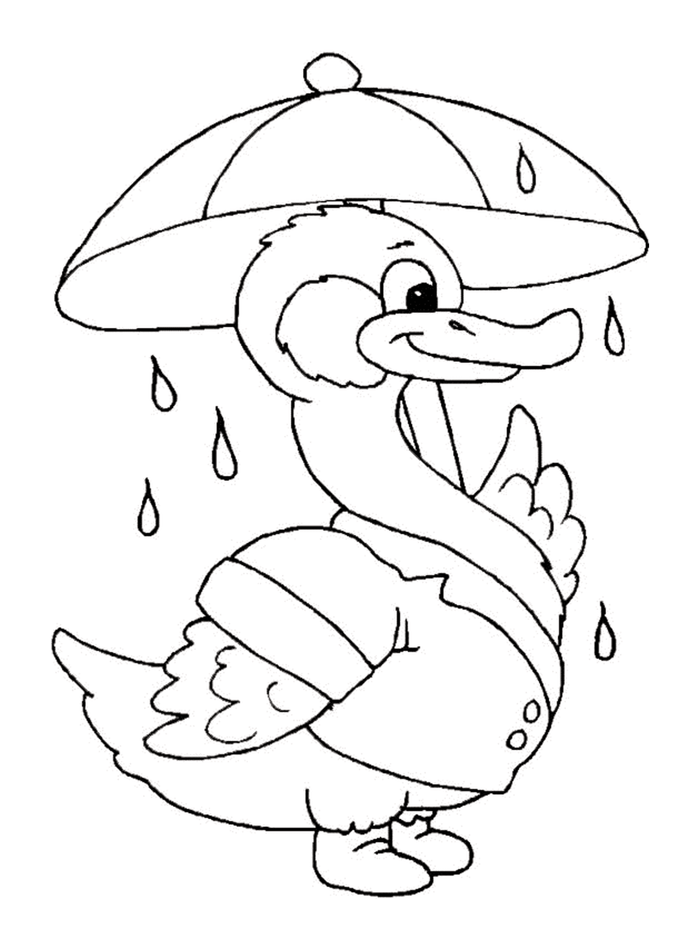 coloriage un canard avec un parapluie