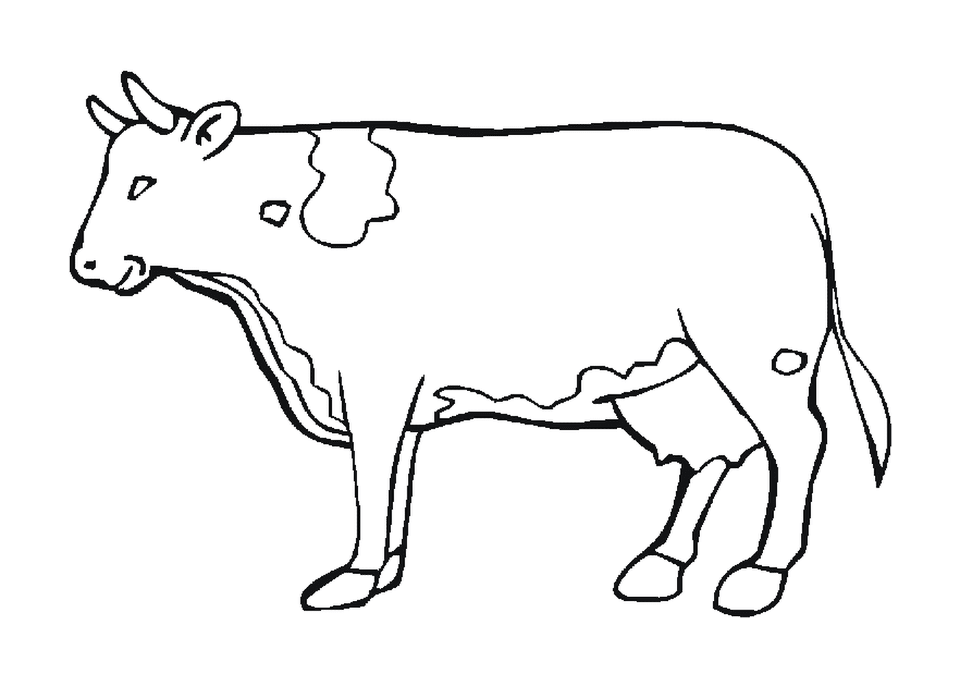 coloriage dessin d une vache a colorier