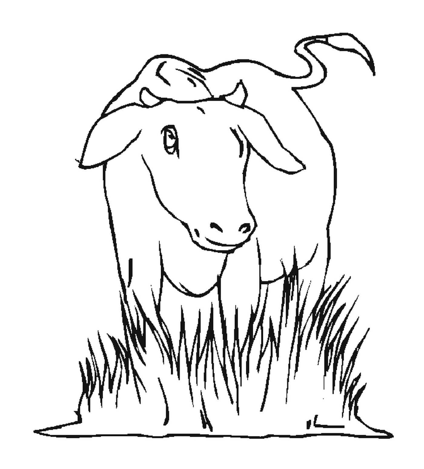 coloriage une vache dans une prairie