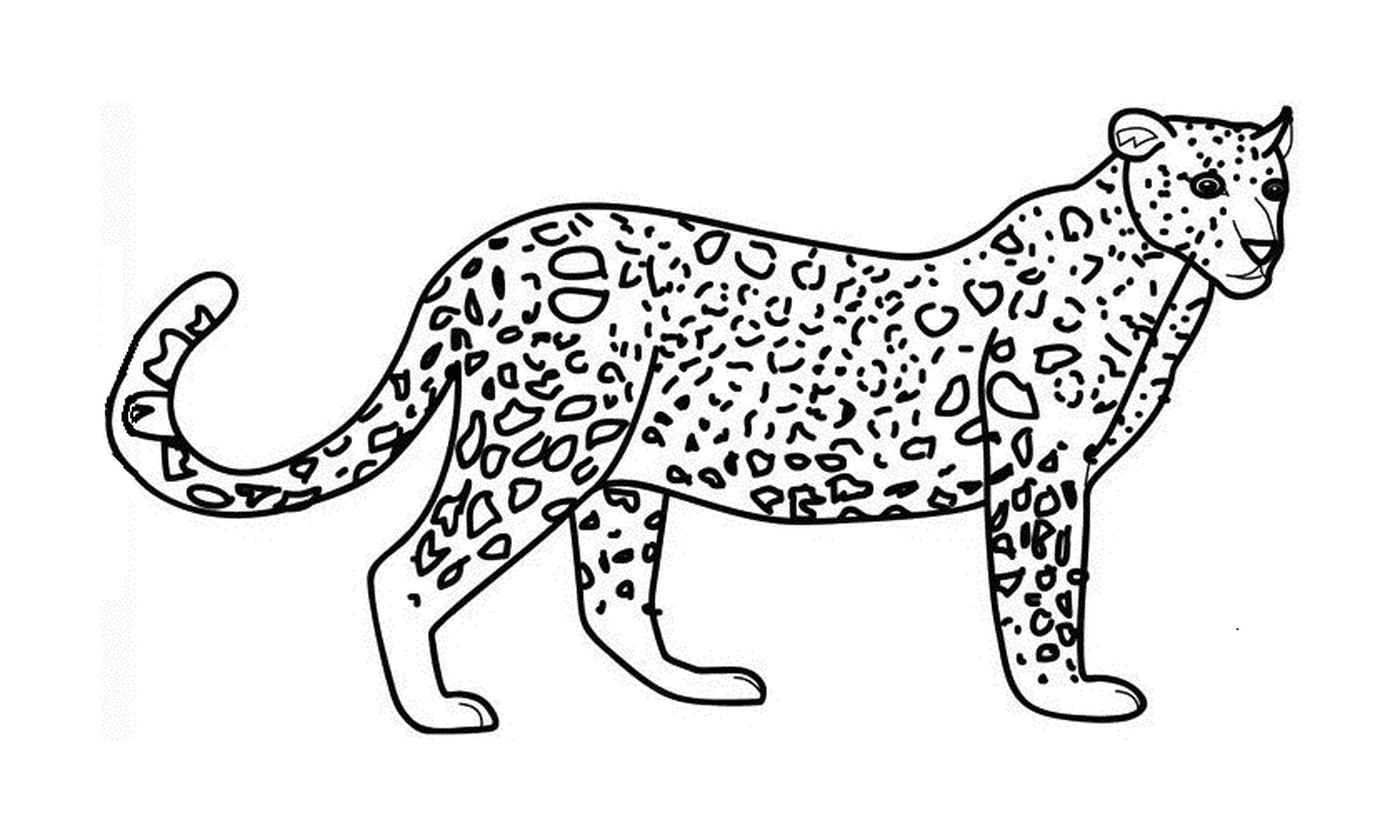 coloriage jolie guepard