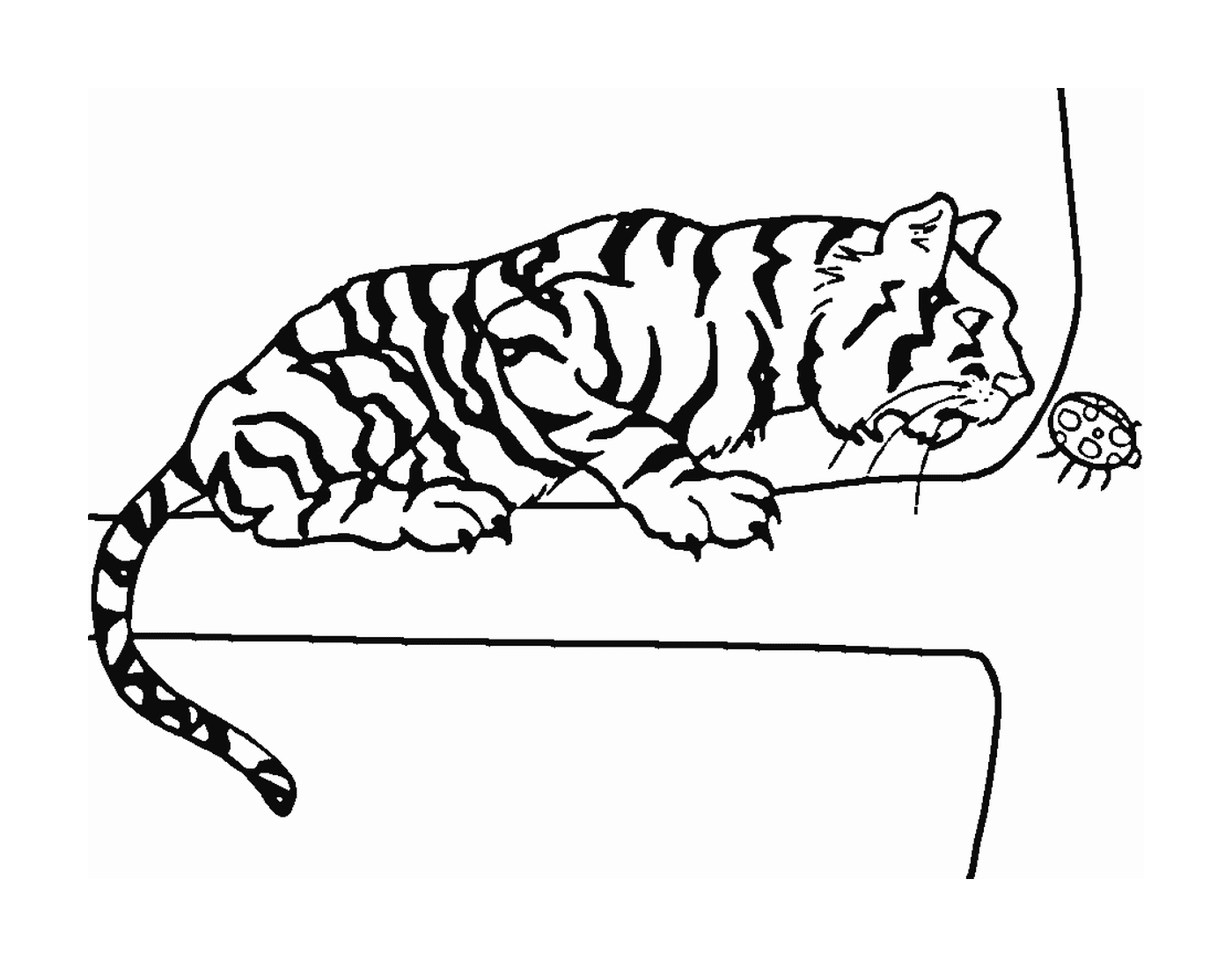 coloriage tigre sur un branche avec une coccinelle
