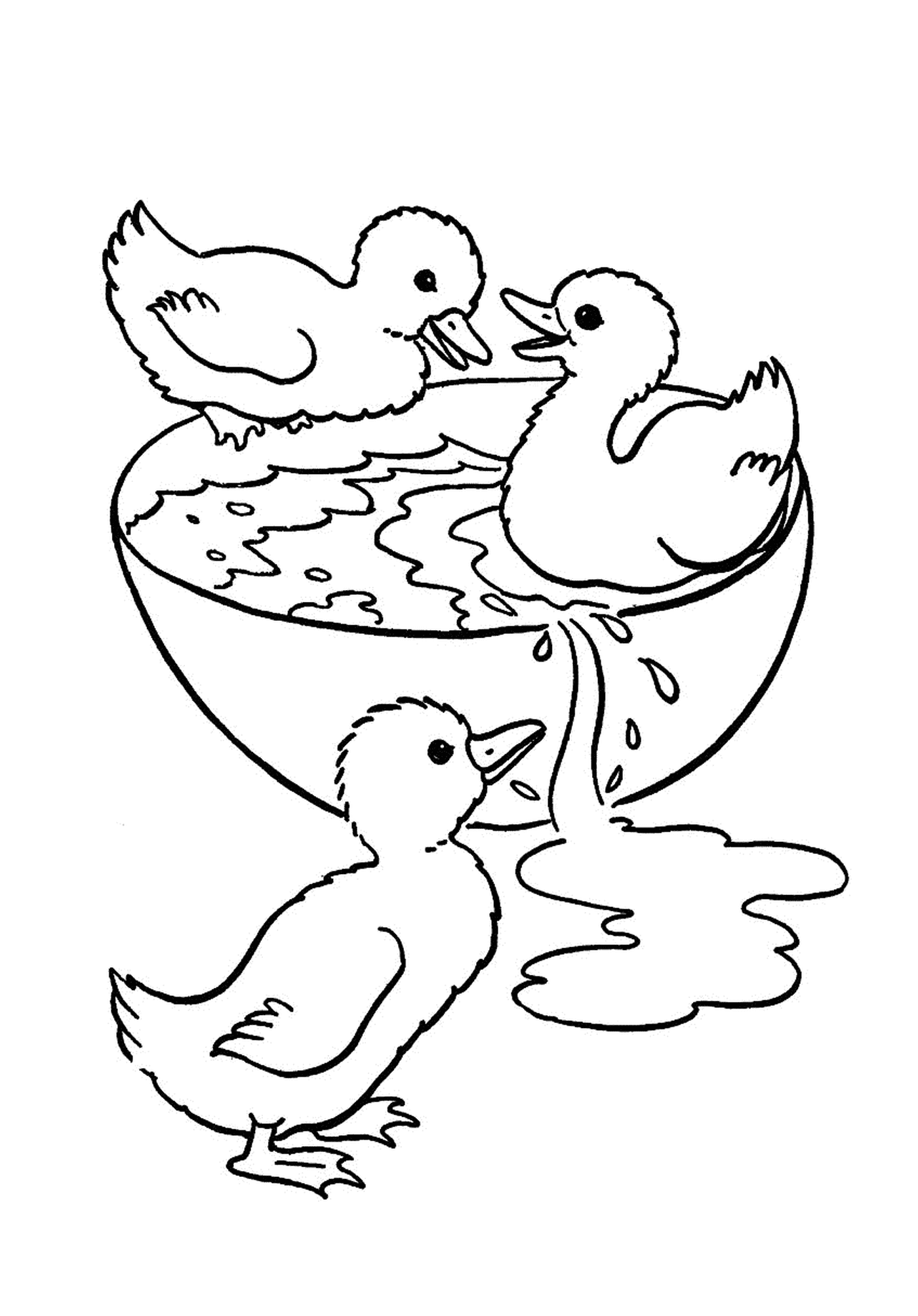 coloriage trois bebes canards