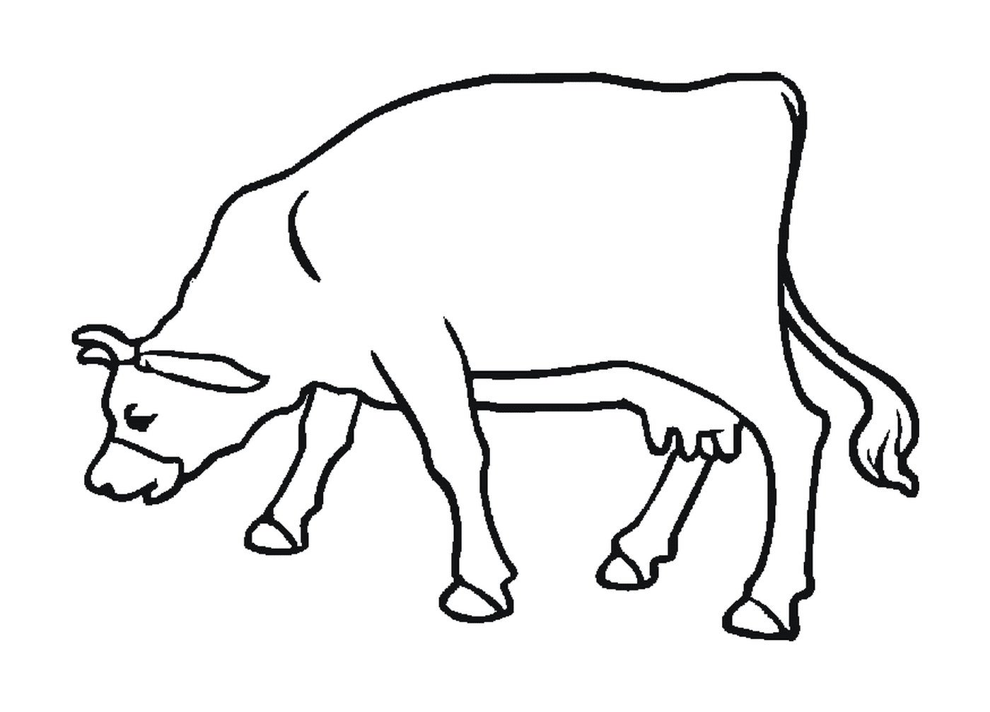 coloriage une vahe laitiere