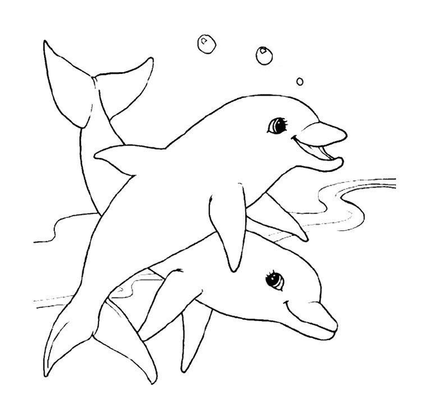coloriage deux dauphins